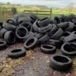 Tyres dumped at Gosford Forest Park