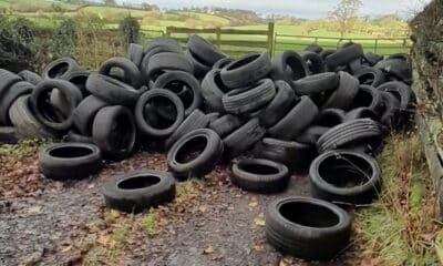 Tyres dumped at Gosford Forest Park