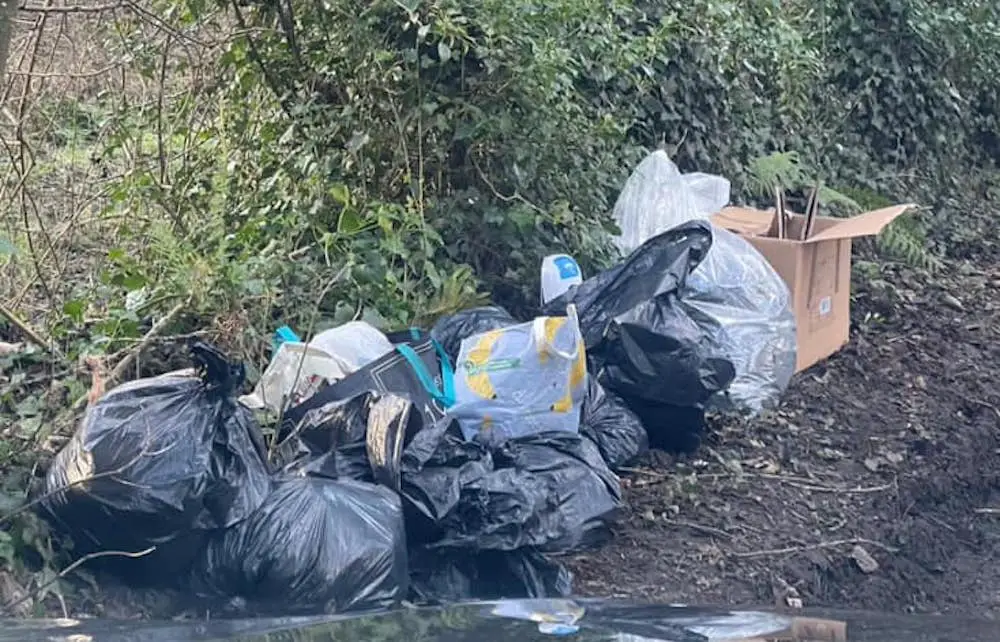 Outrage as large load of rubbish dumped at sacred Armagh city site – Armagh I