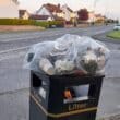 Overflowing bins Newry