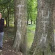 Lurgan Park graffiti