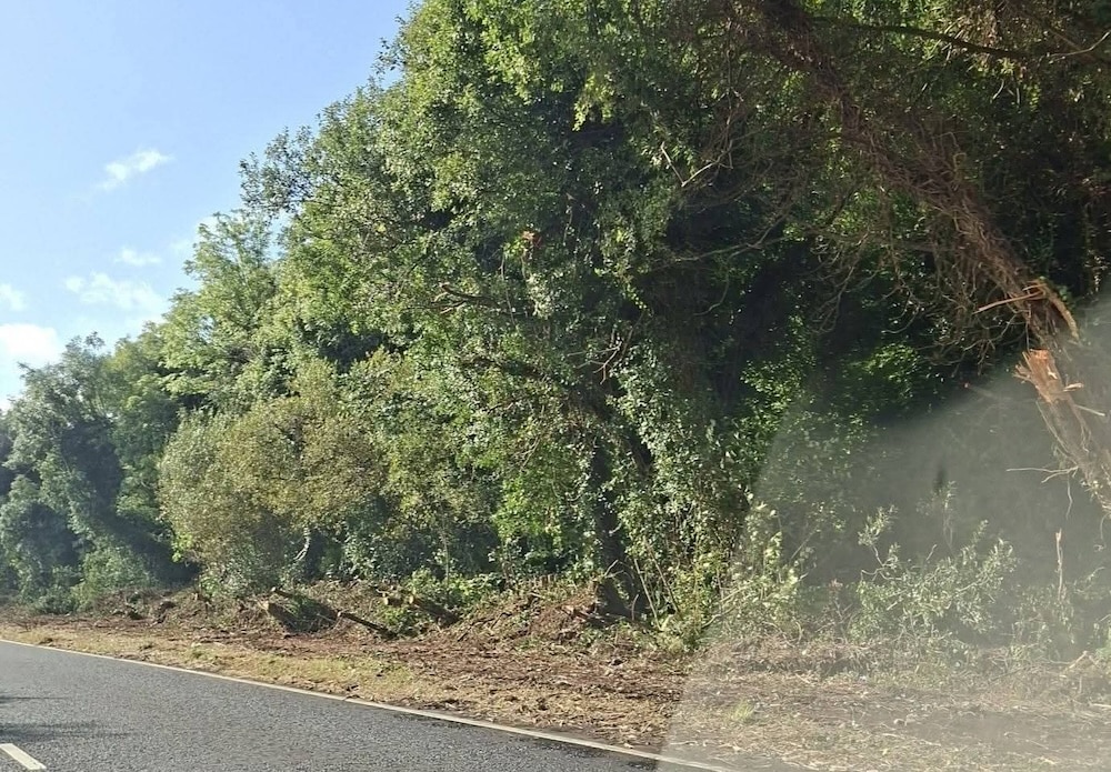 Clearance works along the Tandragee Road at Goragh Wood