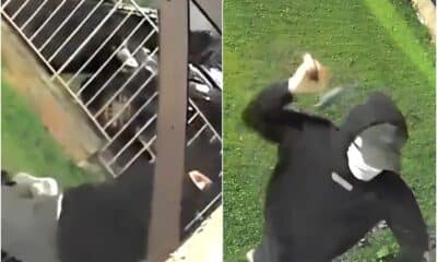 Armagh hammer attack