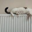 Home heating
